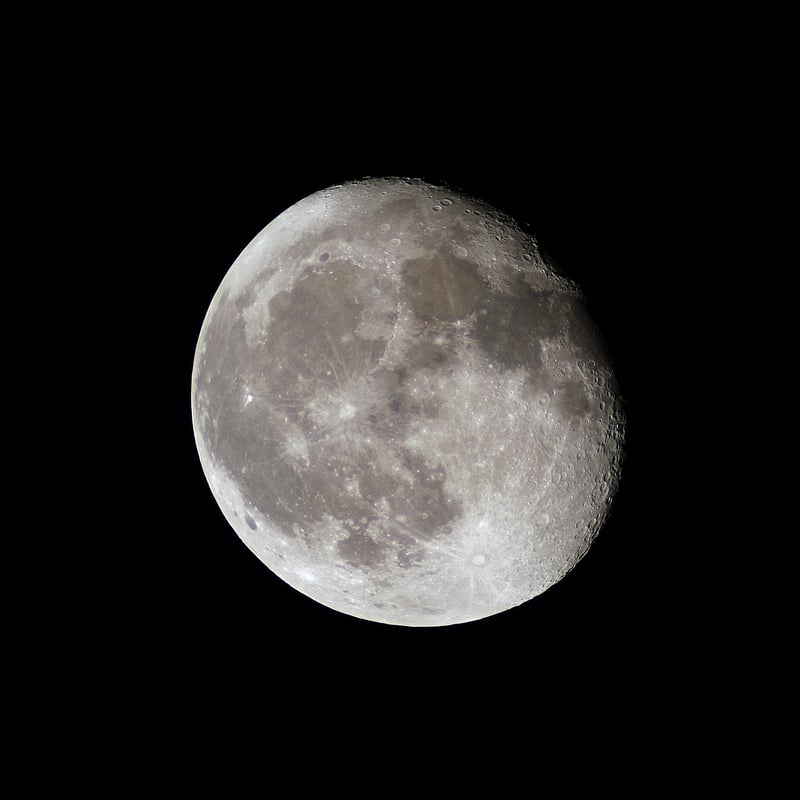Lunar Living